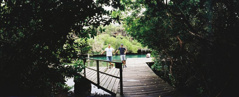 Galápagos